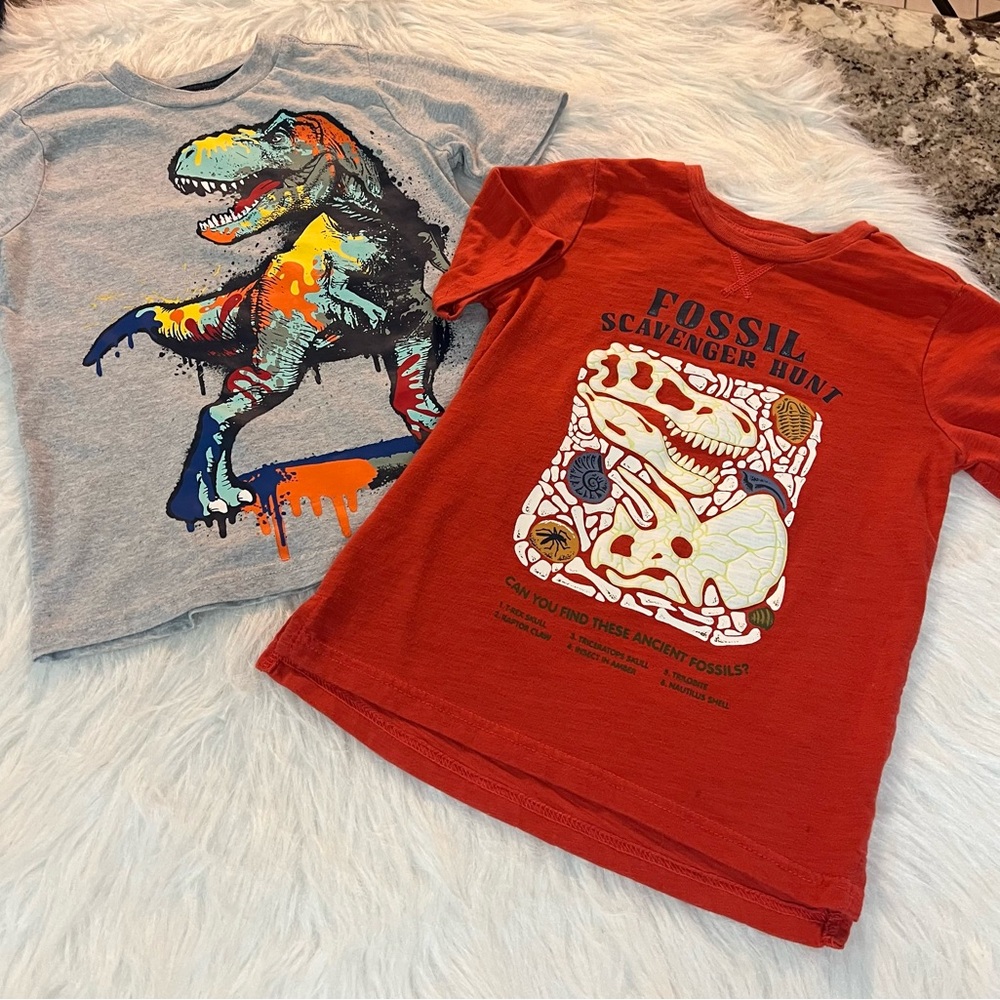 Garanimals Gray and Red Dinosaur T-Shirt Set